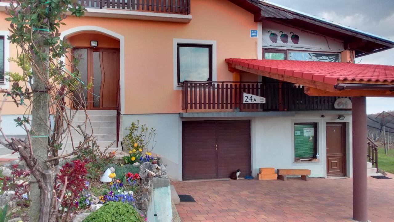 Ferienwohnung Studio Apartman Safaric Sveti Martin Na Muri Exterior foto