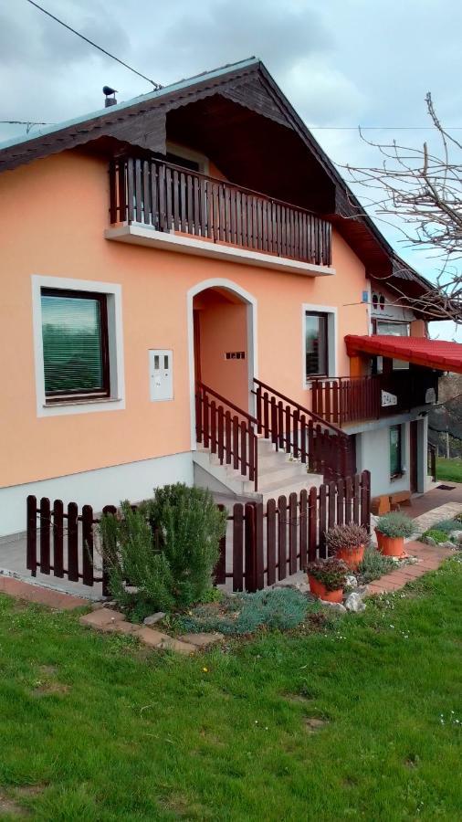 Ferienwohnung Studio Apartman Safaric Sveti Martin Na Muri Exterior foto